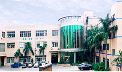 2000年，自建工業(yè)園區投入使用。同年投入鋁、鋅合金壓鑄項目。